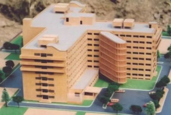 LNJP Hospital